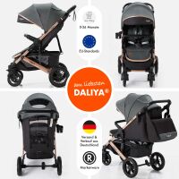 Sportbuggy RAPIDY, klappbarer Kinderwagen – Dunkelgrau