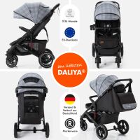 Sportbuggy RAPIDY, klappbarer Kinderwagen – Grau mit M