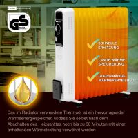 Ölradiator F-2046 mit 13 Rippen, elektrische Ölhei