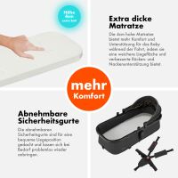 2-in-1 Kombikinderwagen FLEXI-PRO M mit Babywanne & Spor