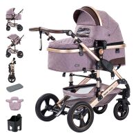 2-in-1 Kombikinderwagen BAMBIMO mit Baby gallery